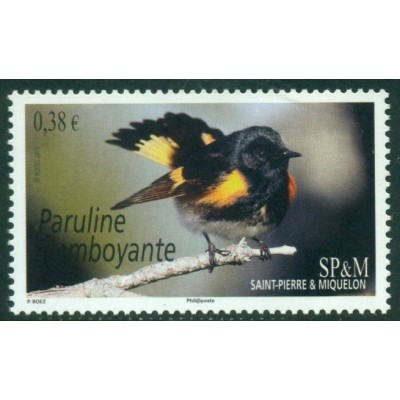 Pájaro 